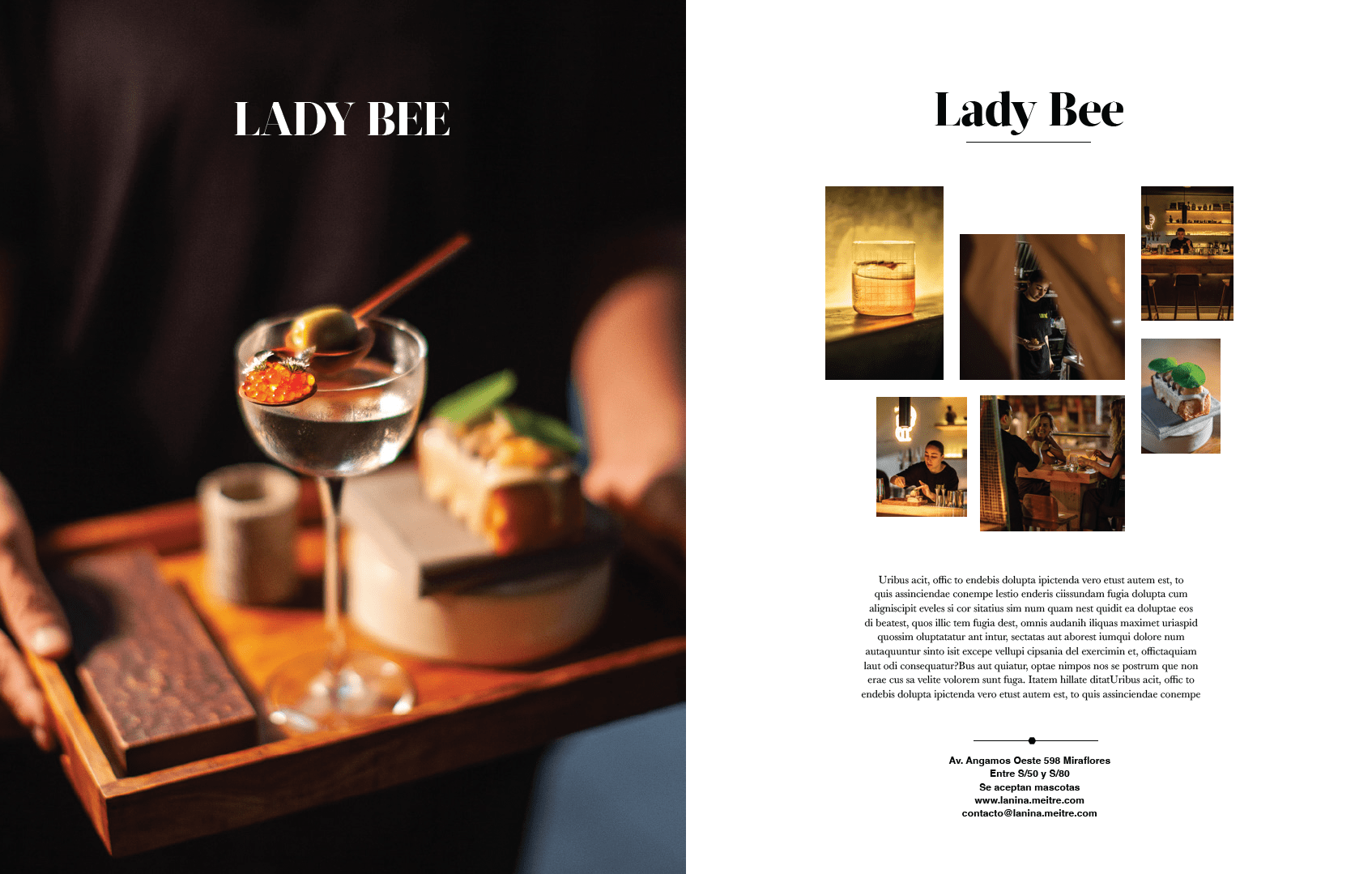 imagen_2025-07-30_120540676