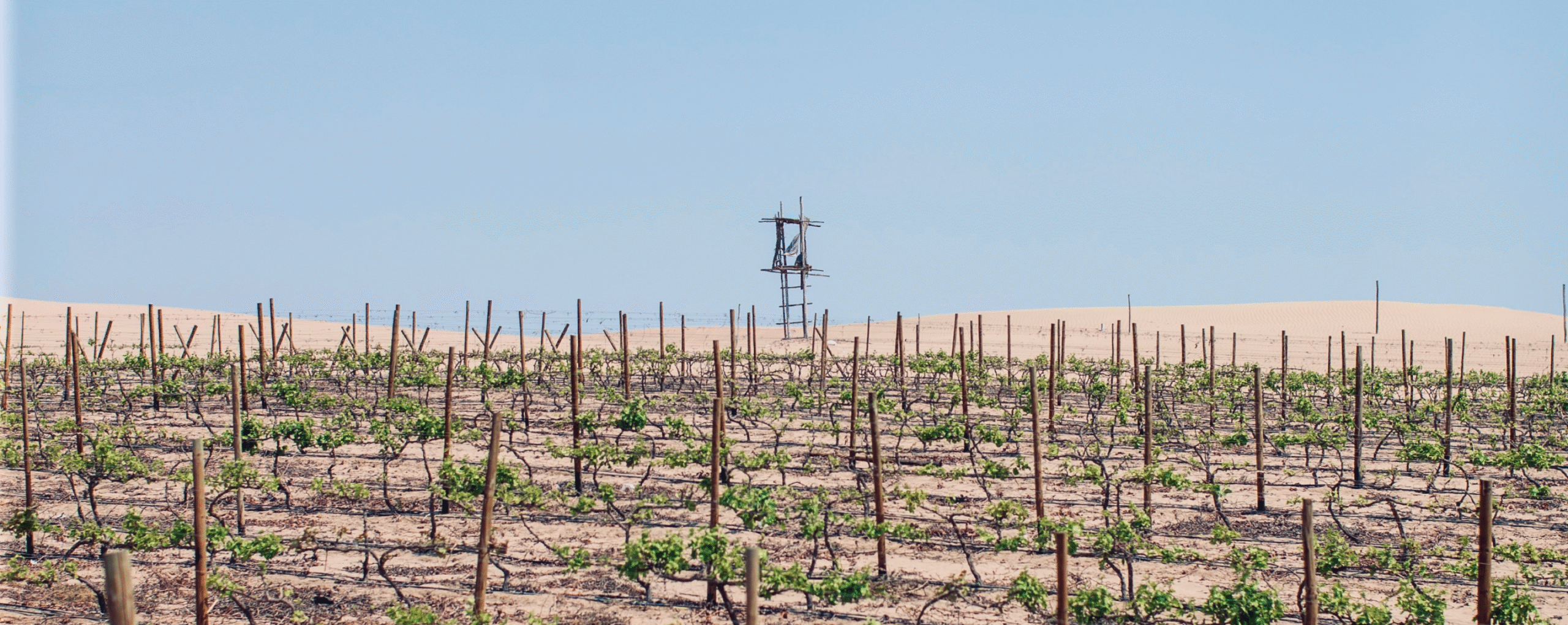 imagen_2025-08-01_183923570