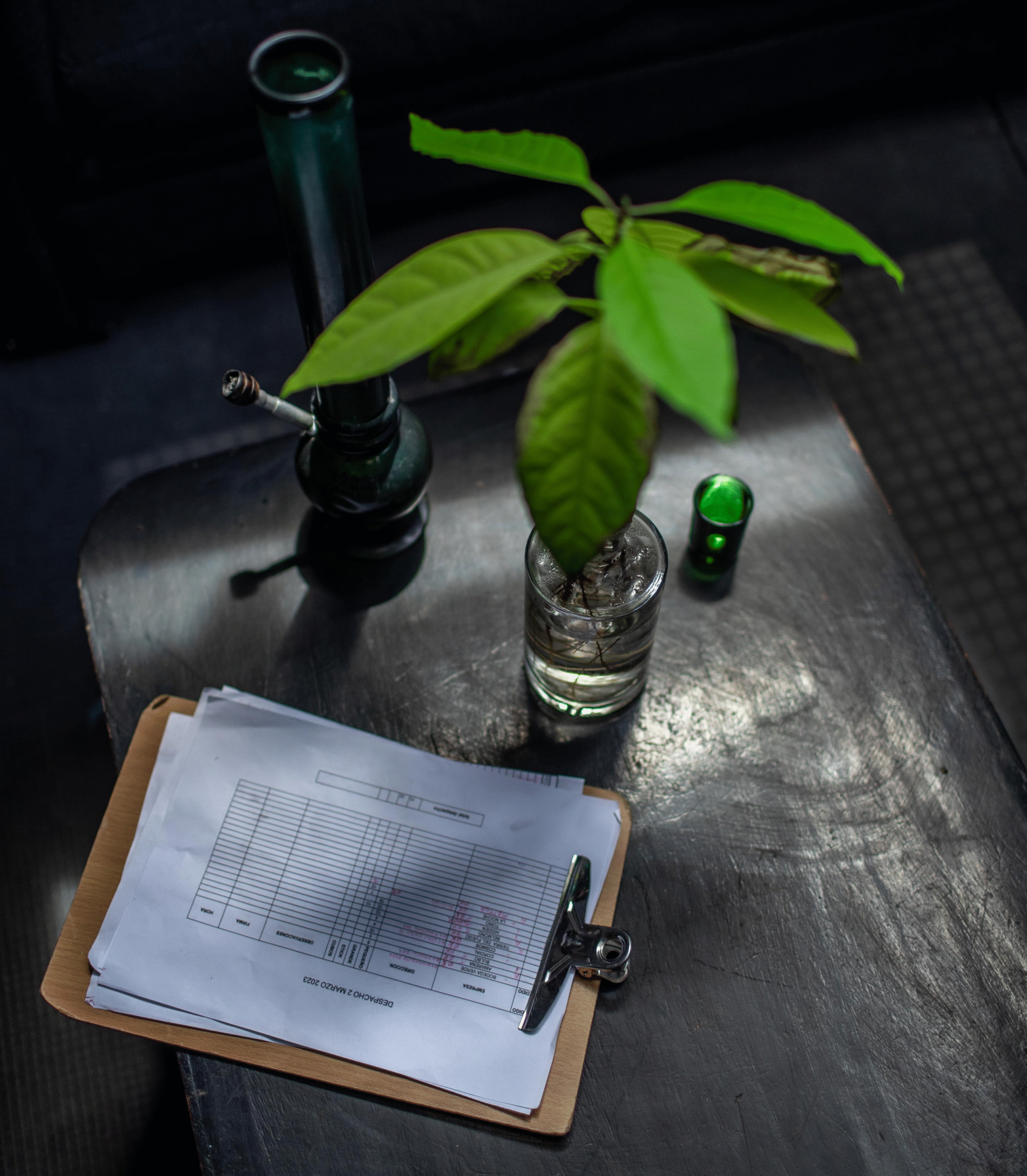 imagen_2025-08-11_144136773